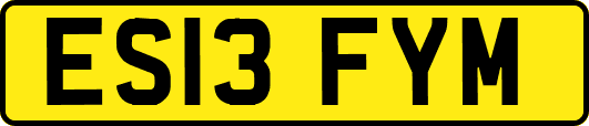 ES13FYM