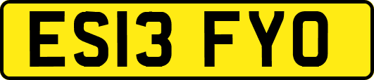 ES13FYO