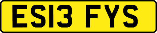 ES13FYS