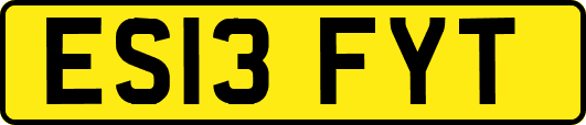 ES13FYT