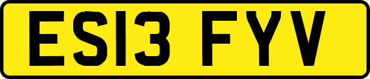 ES13FYV