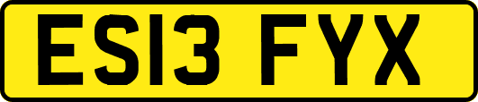 ES13FYX