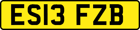 ES13FZB