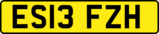 ES13FZH