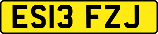 ES13FZJ