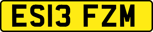 ES13FZM
