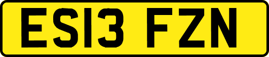 ES13FZN