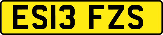 ES13FZS