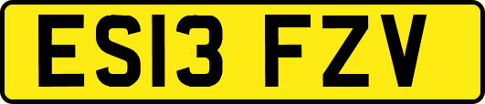 ES13FZV