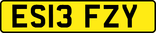 ES13FZY