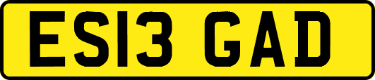 ES13GAD