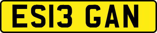 ES13GAN