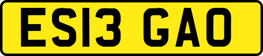 ES13GAO