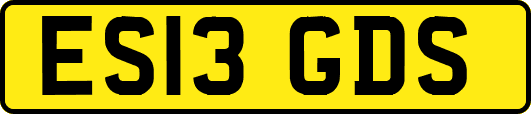 ES13GDS
