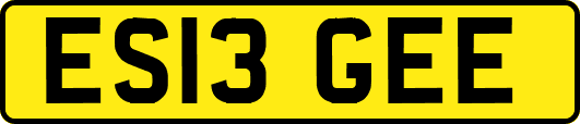 ES13GEE