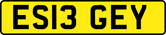 ES13GEY