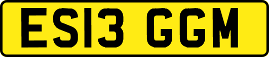 ES13GGM