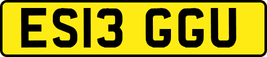 ES13GGU