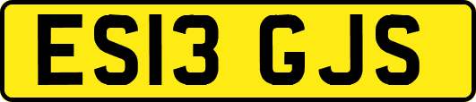 ES13GJS