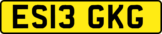 ES13GKG