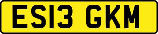 ES13GKM