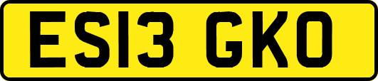 ES13GKO