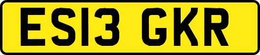 ES13GKR