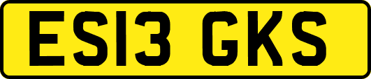 ES13GKS