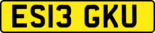 ES13GKU
