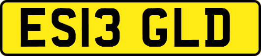 ES13GLD