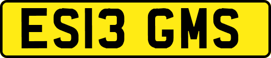 ES13GMS