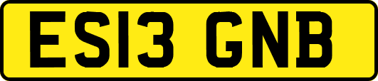 ES13GNB
