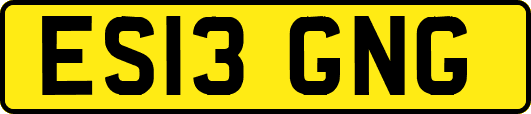 ES13GNG