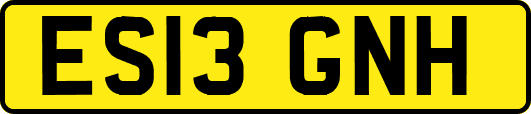 ES13GNH