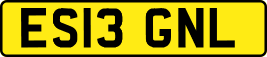 ES13GNL