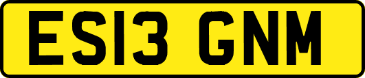 ES13GNM