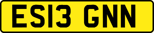 ES13GNN