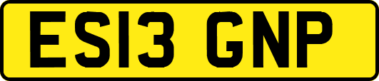 ES13GNP