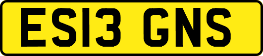 ES13GNS