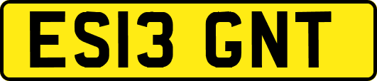 ES13GNT