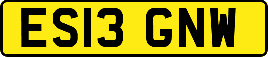 ES13GNW