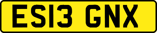 ES13GNX