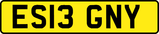 ES13GNY