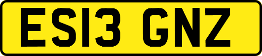 ES13GNZ