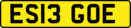 ES13GOE