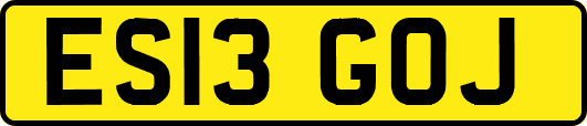 ES13GOJ