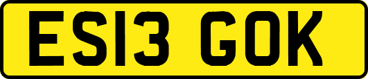 ES13GOK