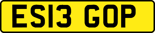 ES13GOP