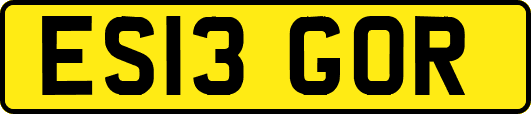ES13GOR