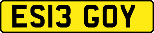 ES13GOY